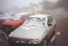 Foto da Neve em 1999